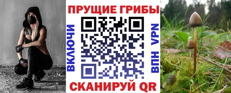 даркнет какой сайт Приволжский Галлюциногенные грибы прущие грибы цена
